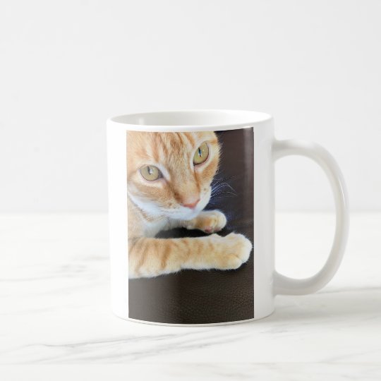 Orange cat closeup coffee mug Zazzle