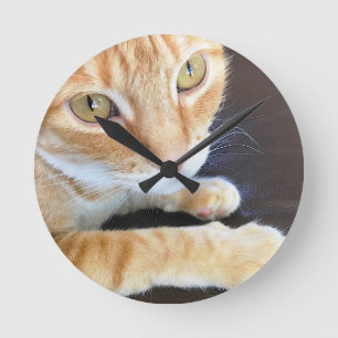 Orange cat closeup round clock
