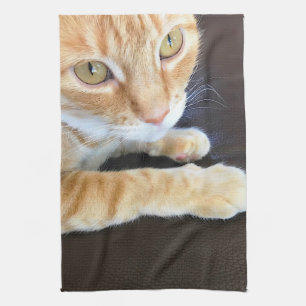 Orange cat closeup towel
