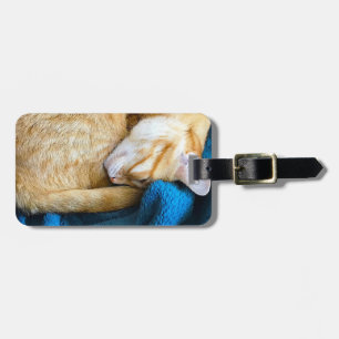 Orange cat curled up on blanket luggage tag