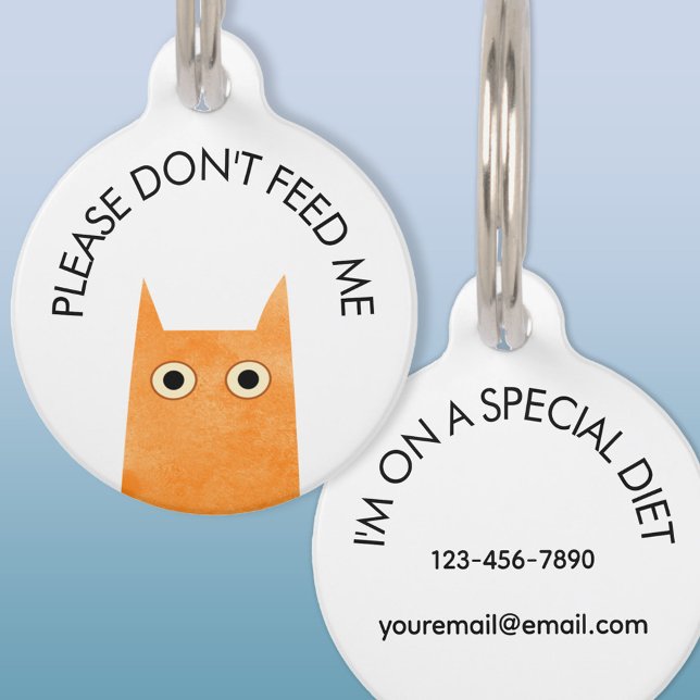 Orange Cat Don't Feed Me Medical Pet ID Tag (Orange Cat Don't Feed Me special diet medical pet tag)