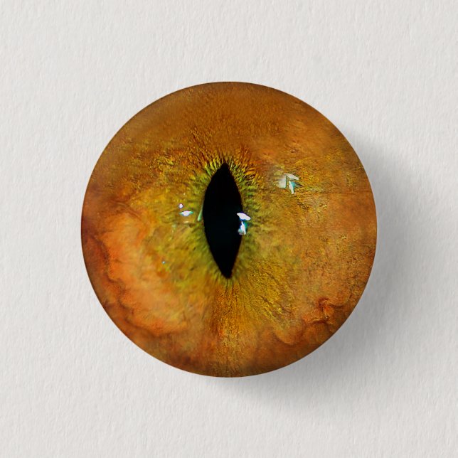 Orange Cat Eye Button (Front)