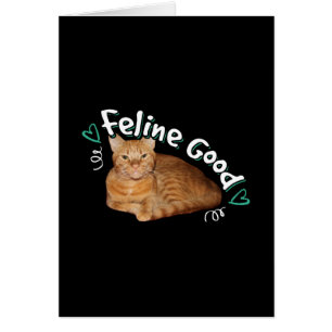 Orange Cat - Feline Good Pun Cards