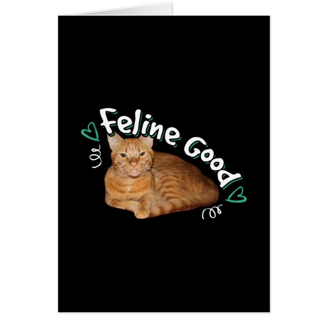 Orange Cat - Feline Good Pun Cards (Front)