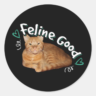 Orange Cat - Feline Good Pun Classic Round Sticker