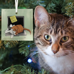 Orange Cat Funny Laptop Green Work Home Glass Ornament