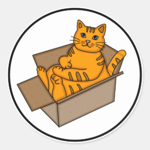 Orange Cat in a Box Funny  Classic Round Sticker
