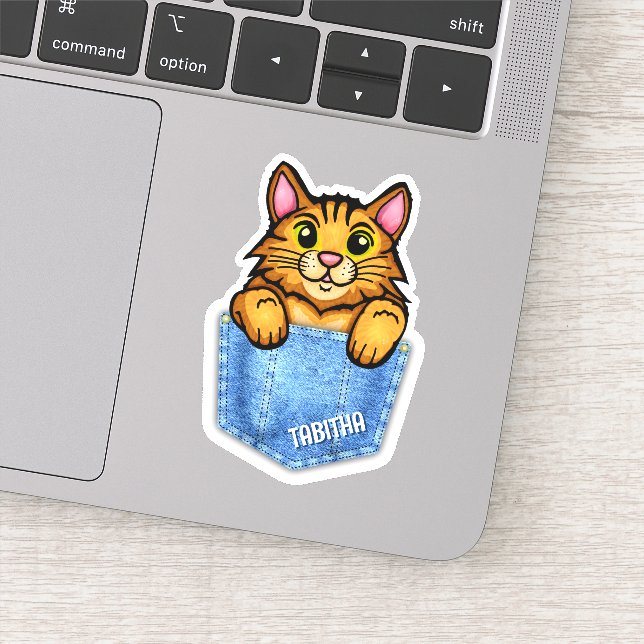 Orange Cat in Faux Denim Pocket with Custom Name Sticker (Detail)