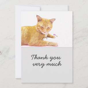 Orange cat is on white background Card