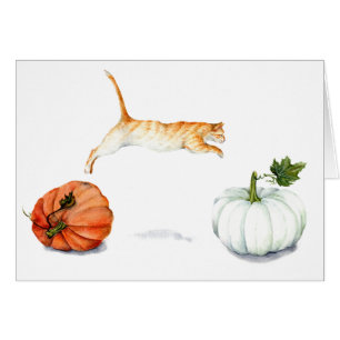Orange Cat Jumping Between Pumpkins