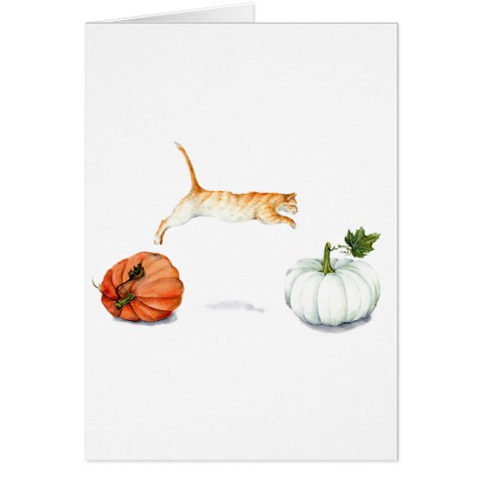 Orange Cat Jumping Between Pumpkins Cards (Front)