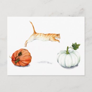 Orange Cat Jumping Between Pumpkins Postcard by GoosiStudio at Zazzle