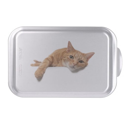 Orange Cat Laying Down Cake Pan