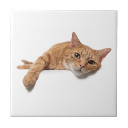 Orange Cat Laying Down Ceramic Tile