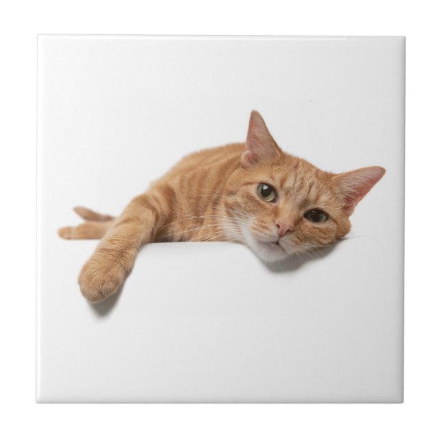 Orange Cat Laying Down Ceramic Tile (Front)