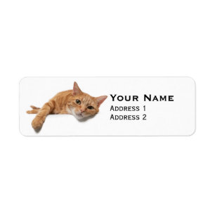 Orange Cat Laying Down Label