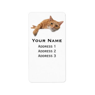 Orange Cat Laying Down Label