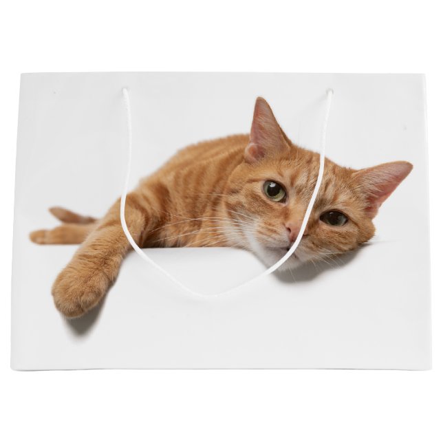 Orange Cat Laying Down Large Gift Bag (Front)