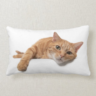 Multicolor Fist Bump Comics Anime Feline Feral Pets Cats Fur Pawsome Awesome Kawaii Otaku Kitten Claw Pet Meow Cat Throw Pillow 18x18