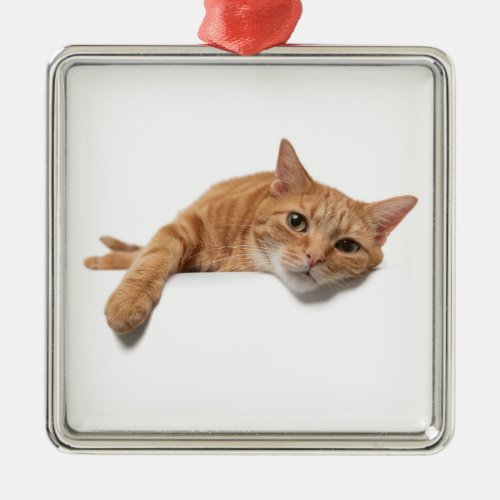 Orange Cat Laying Down Metal Ornament