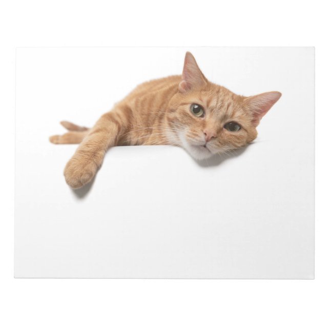 Orange Cat Laying Down Notepad (Front)