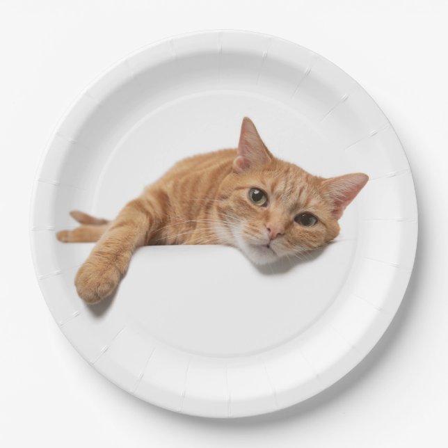 Orange Cat Laying Down Paper Plates (Front)