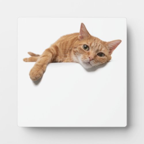 Orange Cat Laying Down Plaque