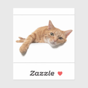 Orange Cat Laying Down Sticker