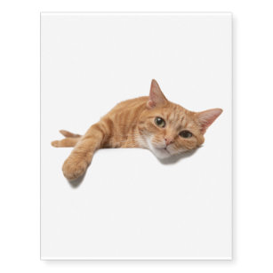 Orange Cat Temporary Tattoos | Zazzle Orange Cat Temporary Tattoos | Zazzle