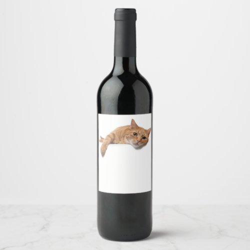 Orange Cat Laying Down Wine Label