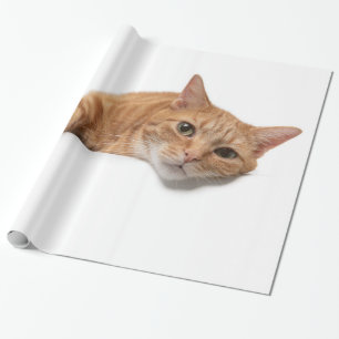 Orange Cat Laying Down Wrapping Paper