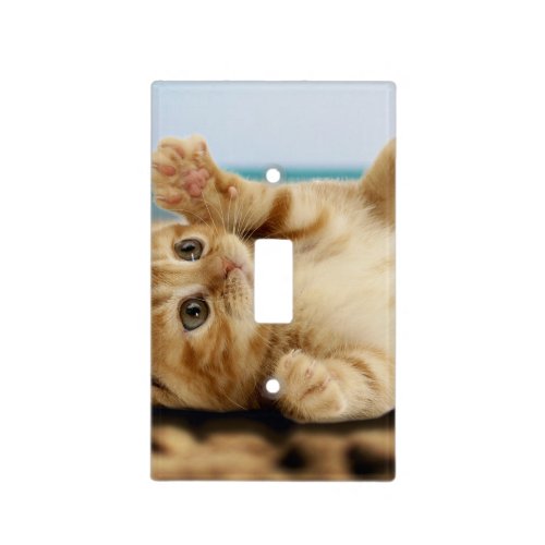 Orange cat lying on the sand light switch cover