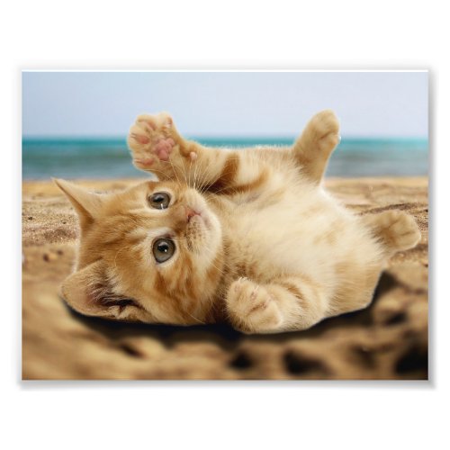 Orange cat lying on the sand photo print