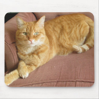 orange cat mouse pad
