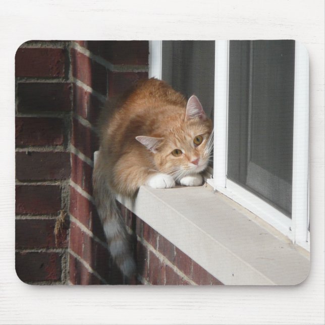 Orange Cat Mouse Pad (Front)