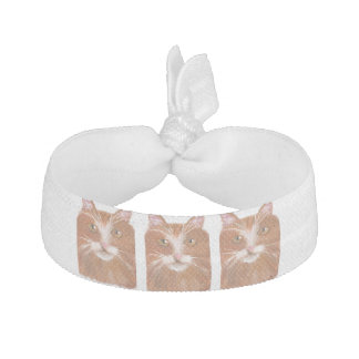 orange cat on hair tie