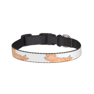 Orange cat pet collar