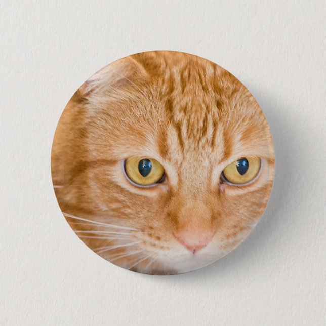 Orange cat pinback button (Front)