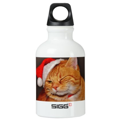 Orange cat - Santa claus cat - merry christmas Aluminum Water Bottle