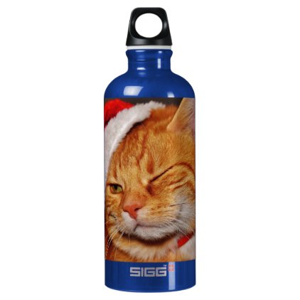 Orange cat - Santa claus cat - merry christmas Aluminum Water Bottle