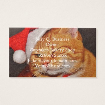 Orange cat - Santa claus cat - merry christmas Business Card