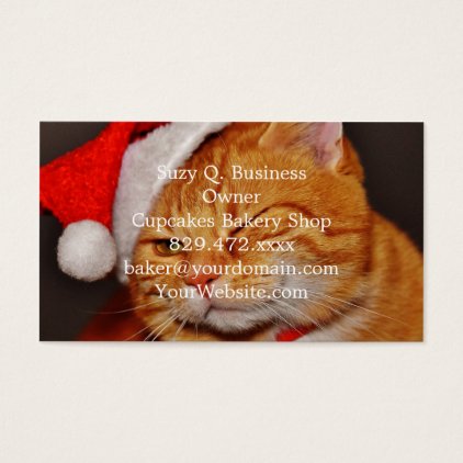 Orange cat - Santa claus cat - merry christmas Business Card