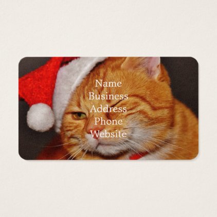 Orange cat - Santa claus cat - merry christmas Business Card