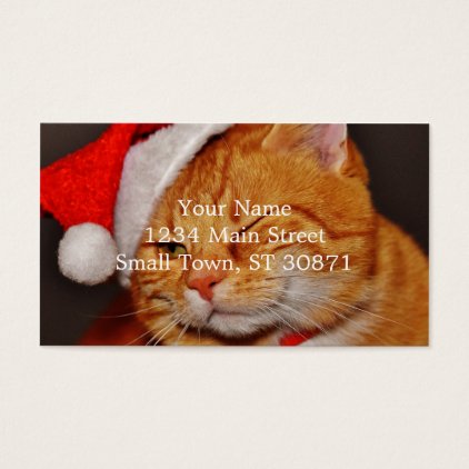 Orange cat - Santa claus cat - merry christmas Business Card