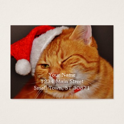 Orange cat - Santa claus cat - merry christmas Business Card