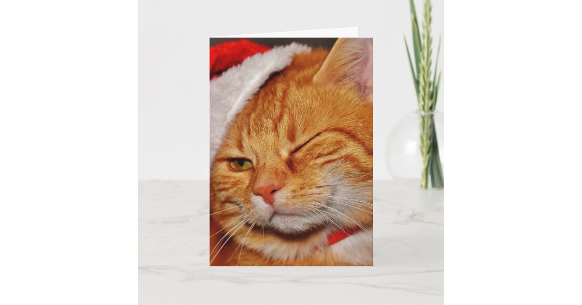 Orange Cat Santa Claus Cat Merry Christmas Holiday Card Zazzle Com