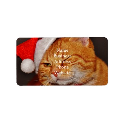 Orange cat - Santa claus cat - merry christmas Label