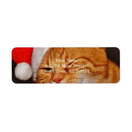 Orange cat - Santa claus cat - merry christmas Label