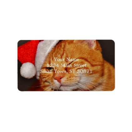 Orange cat - Santa claus cat - merry christmas Label