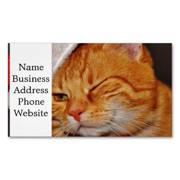 Orange cat - Santa claus cat - merry christmas Magnetic Business Card Orange cat - Santa claus cat - merry christmas Magnetic Business Card